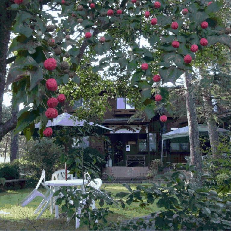 Grass Hopper Hotel Karuizawa Exterior photo